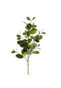 Vara De Eucalipto Artificial Green 90 Cm