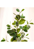 Vara De Eucalipto Artificial Green 90 Cm