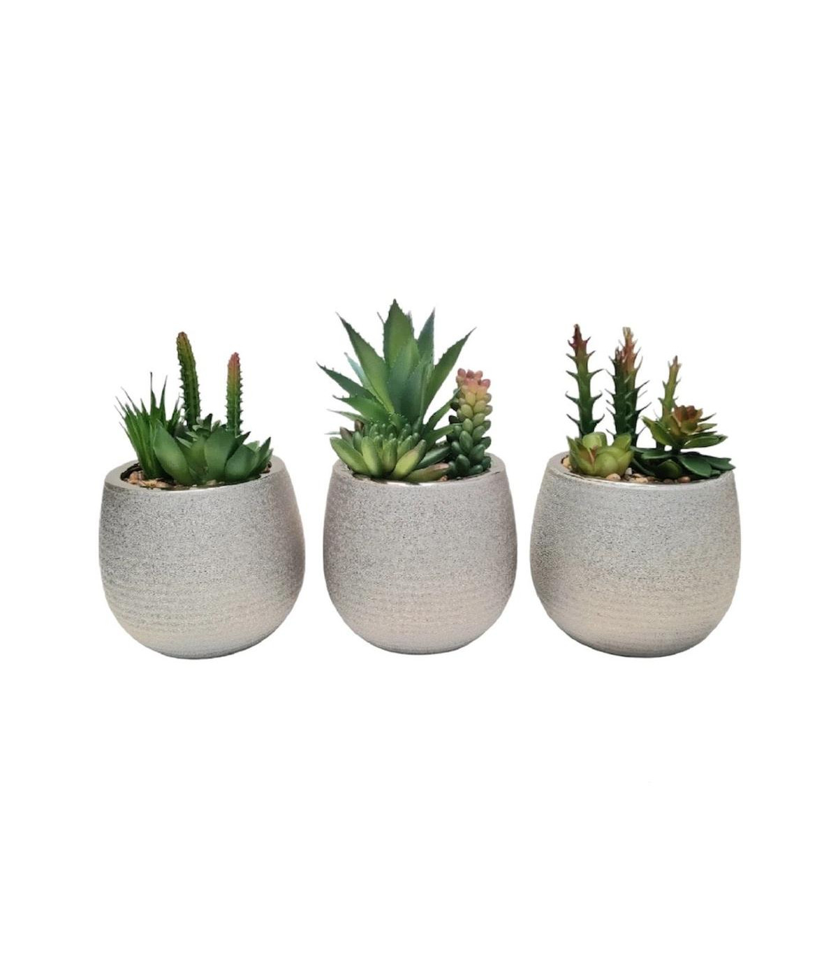Silver Maceta De Cerámica Con Planta Deco