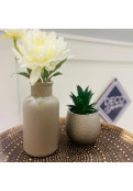 Silver Maceta De Cerámica Con Planta Deco