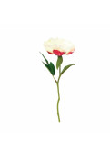Vara Peonia White