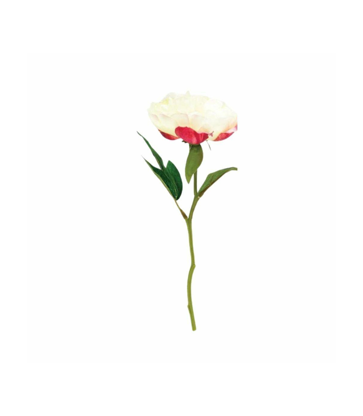 Vara Peonia White