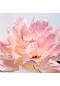 Vara Floral Dalia Rose Decorativa