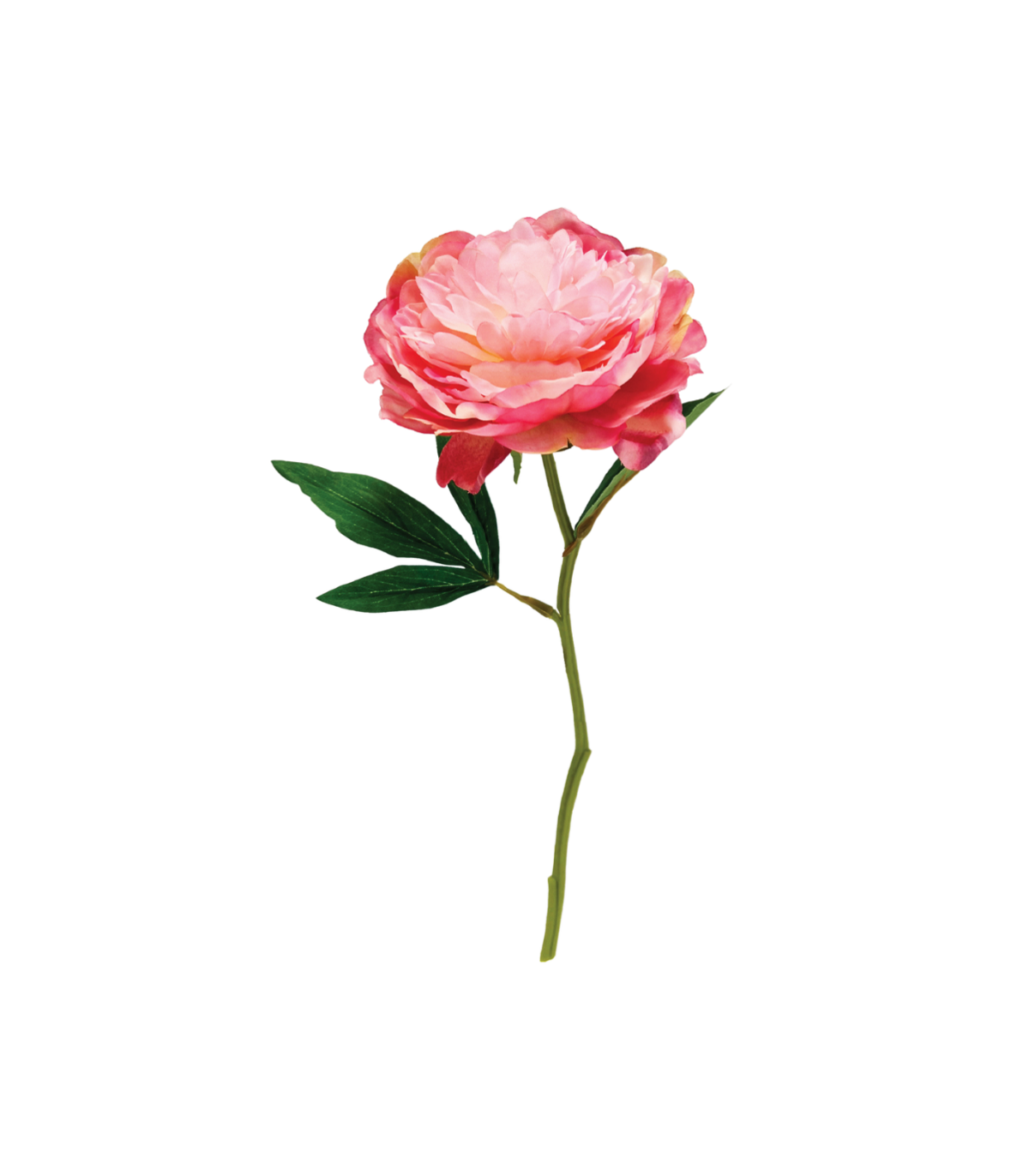 Vara Peonia Pink