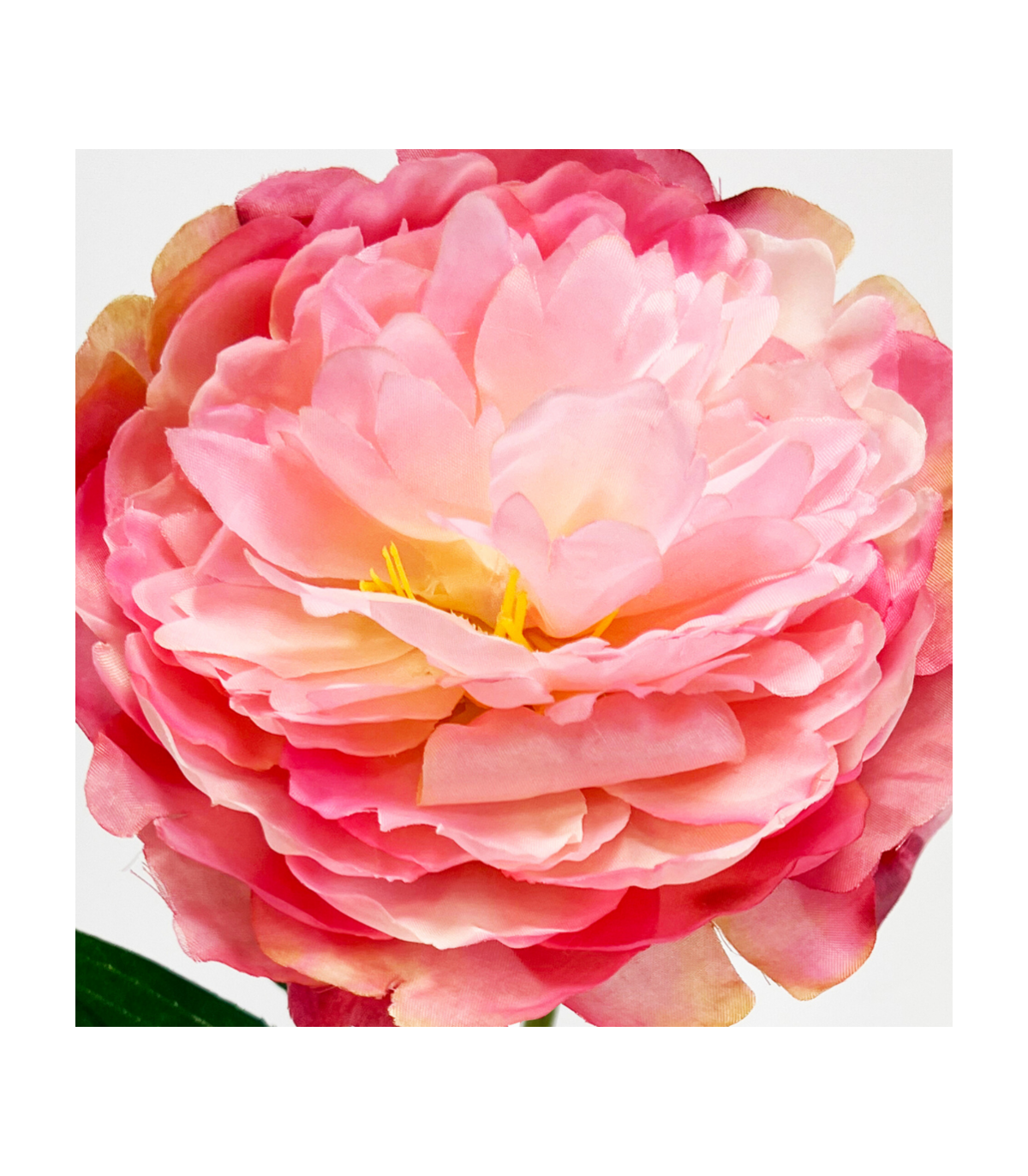Vara Peonia Pink