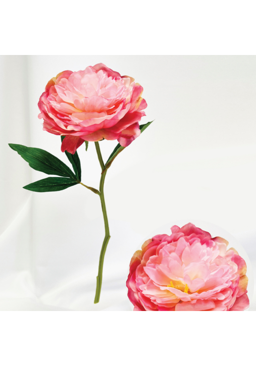 Vara Peonia Pink