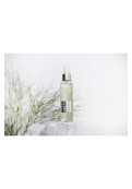 Body Splash Fresh Vetiver