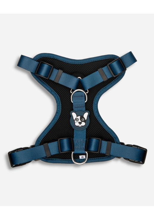Arnes Doble Agarre Azul (acero) Xs