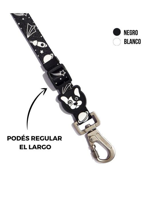 Cinturón De Seguridad Apolo S