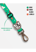 Cinturón De Seguridad Rocky Verde L