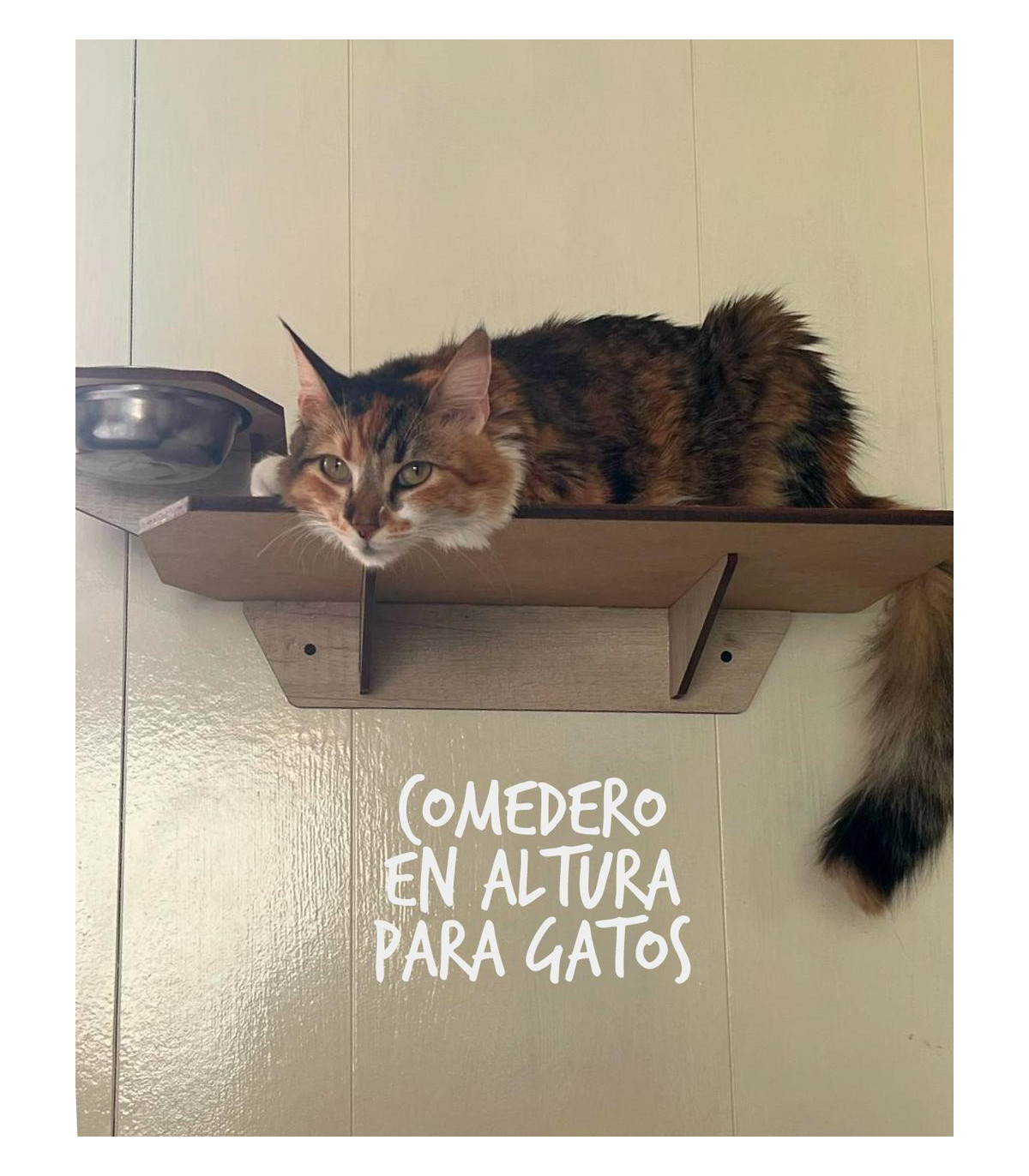 Comedero En Altura