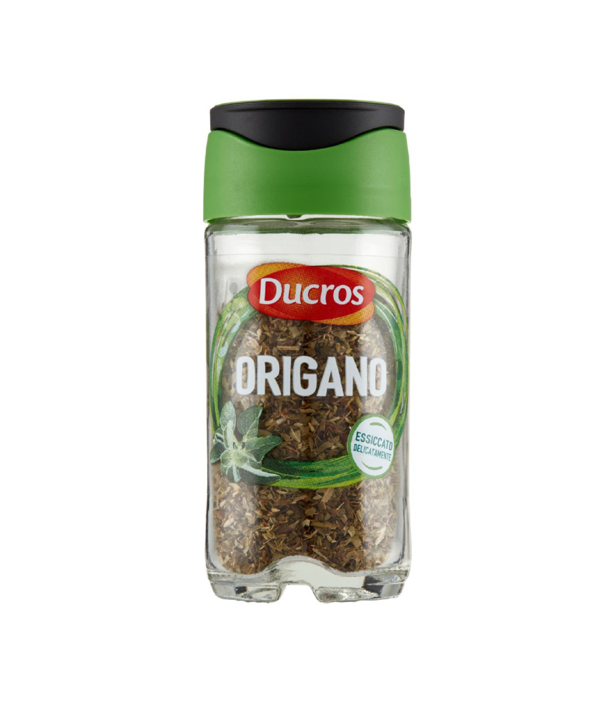 Orégano