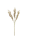 Eucalypto Beige Decorativo 53 Cm