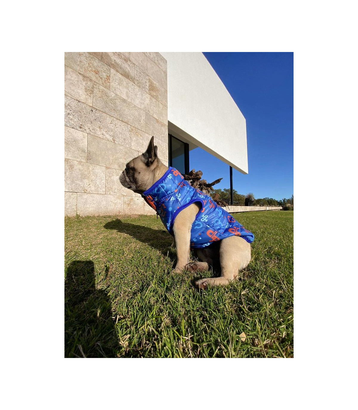 Chaleco Monogram Blue - Xxxl