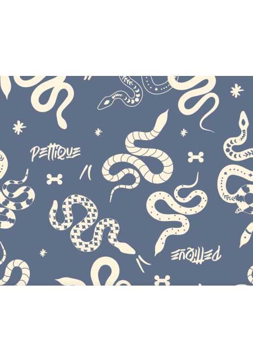 Pijama Snakes Azul Aero