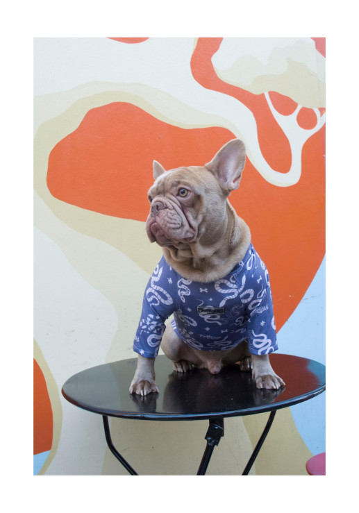 Pijama Snakes Azul Aero