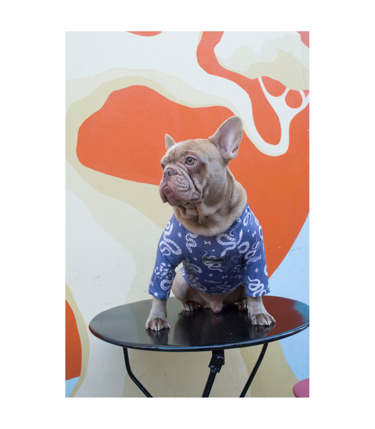 Pijama Snakes Azul Aero