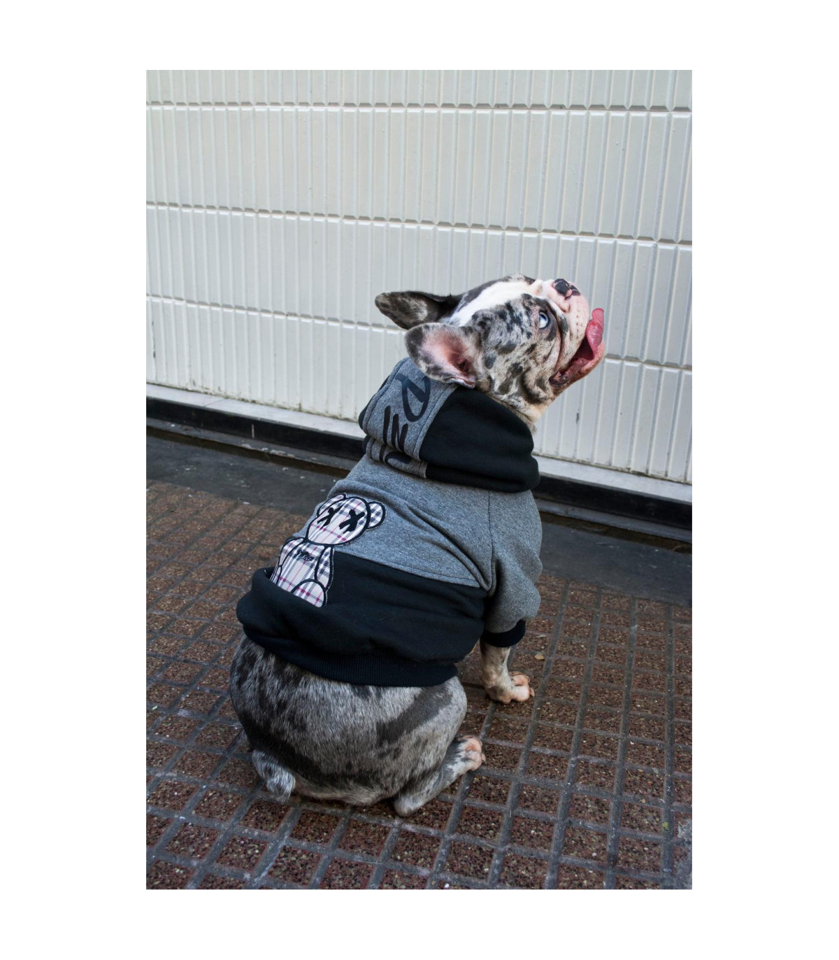 Buzo Trash Teddy - Talla Xs
