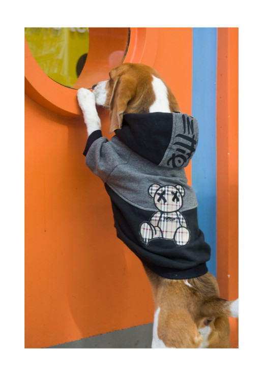 Buzo Trash Teddy - Talla Xs