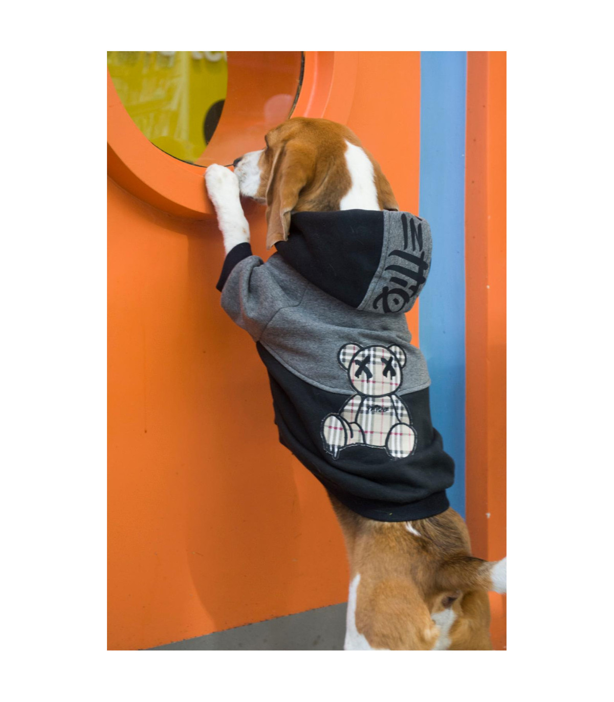 Buzo Trash Teddy - Talla Xs