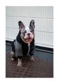 Buzo Trash Teddy - Talla Xs