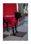 Buzo Adittique Rojo - M