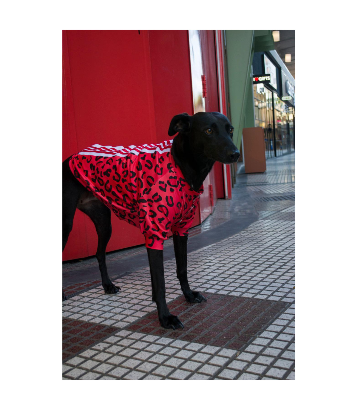 Buzo Adittique Rojo - M