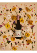 Vino Orgánico Pinot Noir - Fin Del Mundo