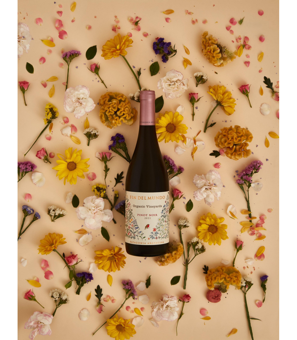 Vino Orgánico Pinot Noir - Fin Del Mundo