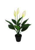 Planta Cala Artificial Premium 61 Cm