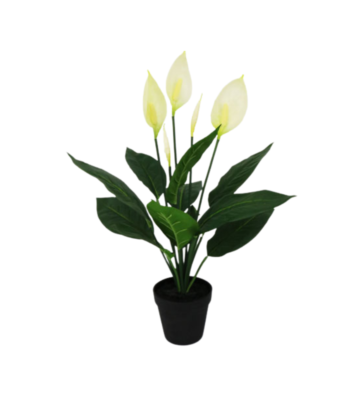 Planta Cala Artificial Premium 61 Cm