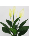 Planta Cala Artificial Premium 61 Cm