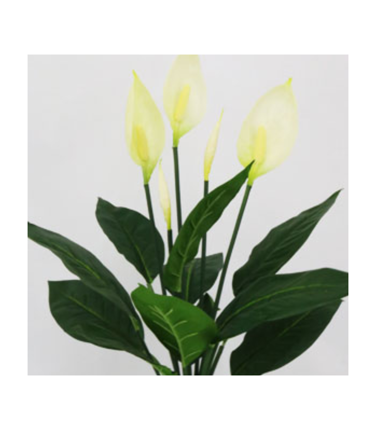 Planta Cala Artificial Premium 61 Cm