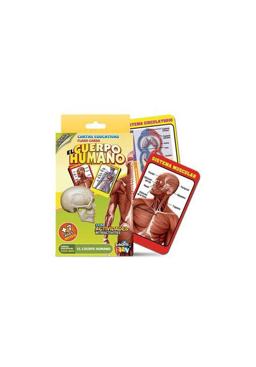 Cartas Educativas El Cuerpo Humano