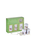 Set Te + Infusion Alicia
