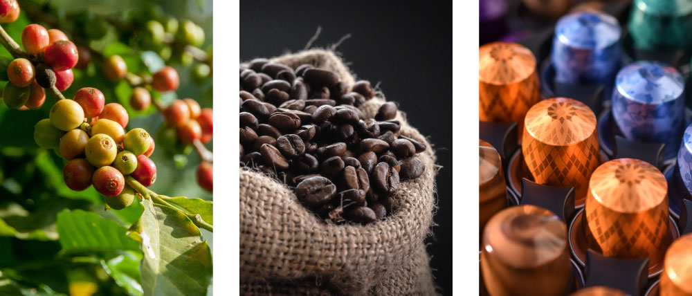 árbol de café, bolsa de granos de café , capsulas de café de distintos sabores con diseños y texturas intricadas