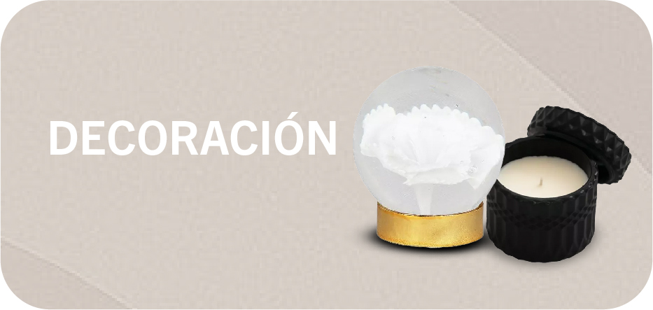 Descubrí los mejores productos de decoración en ShopOn.